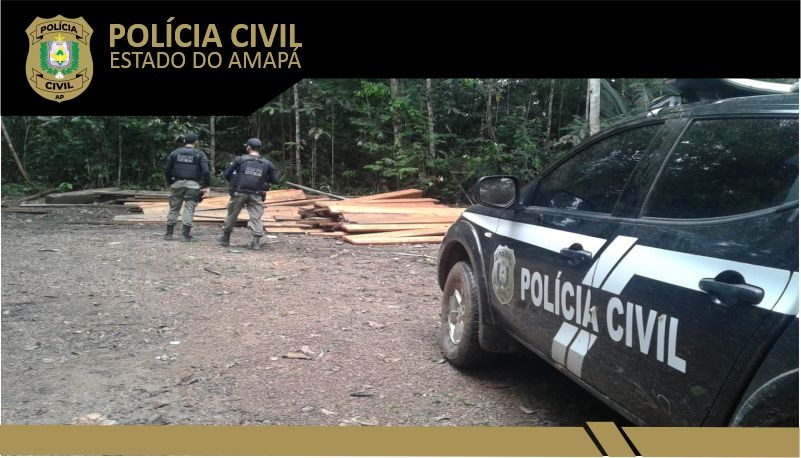 POLÍCIA CIVIL APREENDE 250 PERFIS DE MADEIRA E MOTOSSERRAS DURANTE OPERAÇÃO DA DELEGACIA DO MEIO AMBIENTE